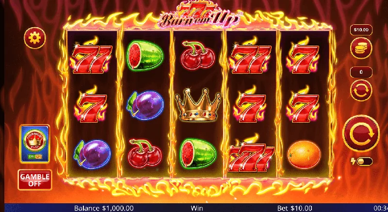 777 Burn 'Em Up Schermafbeelding