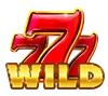 Basket Bounty 7 Wild Symbool