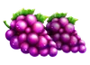 Basket Bounty Druiven Symbool