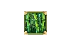 Big Bamboo Mystery Bamboo Symbool