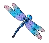 Big Bass Splash 1000 Libelle Symbool